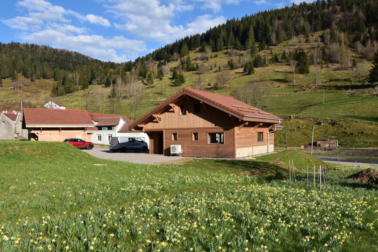 Tout Neuf - Chalet Pebie 8 A 10 Pers Avec Sauna La Bresse Exteriér fotografie
